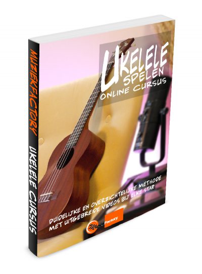 Ukelele introductie cursus